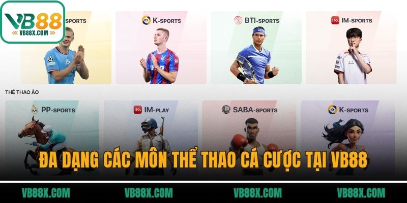 Thể thao VB88 Đa dạng các môn thể thao cá cược tại VB88